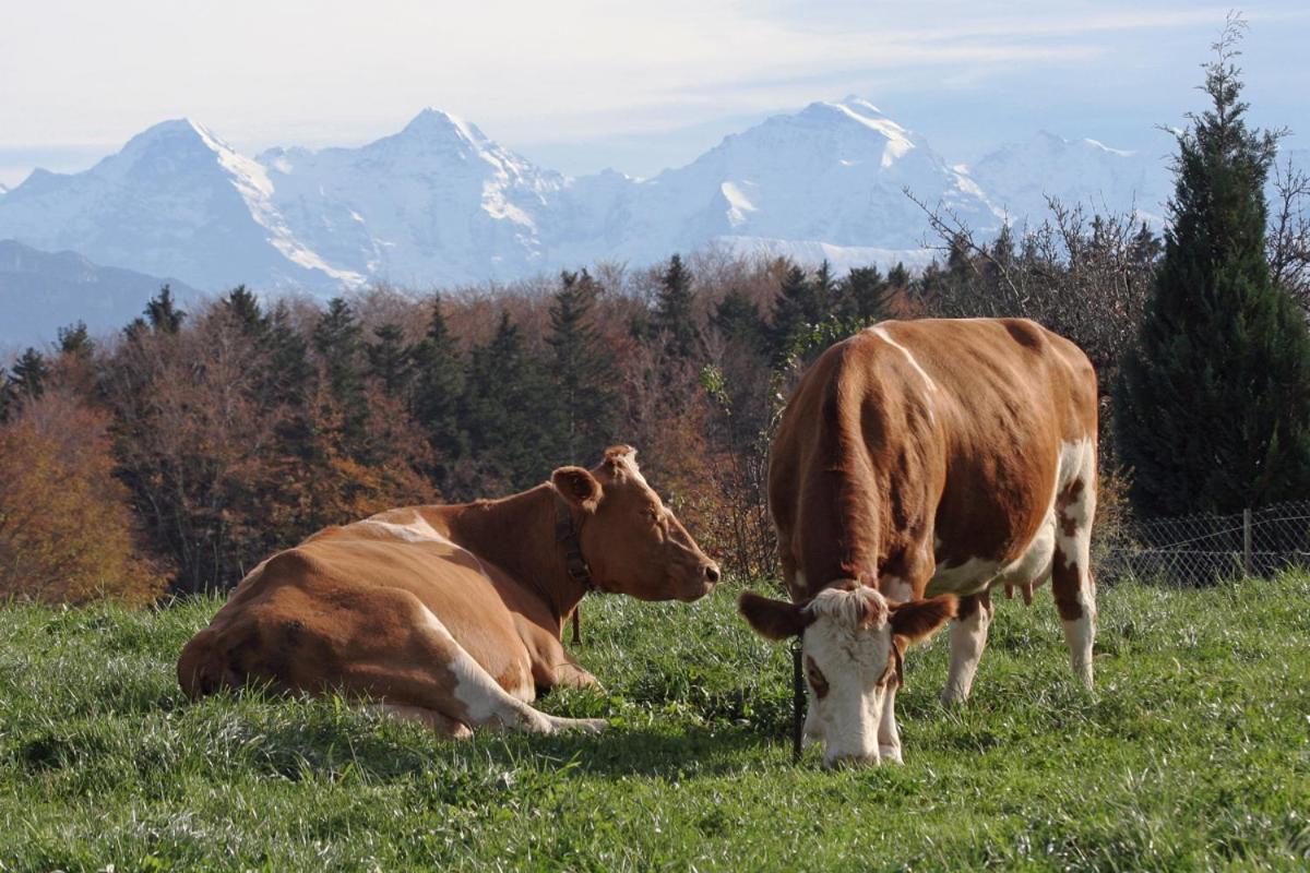 Mountain Home - Ein Aufenthalt Mit Weitblick Niedermuhlern Exteriör bild