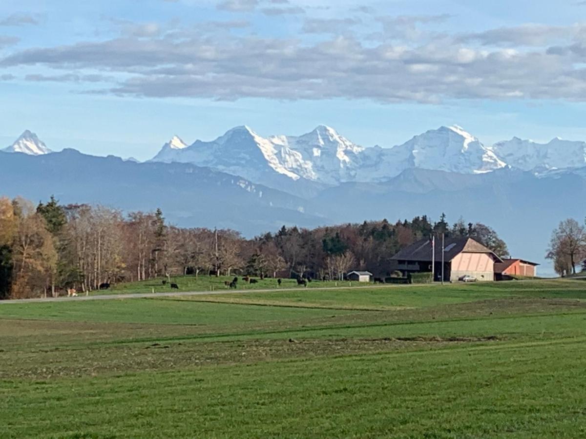 Mountain Home - Ein Aufenthalt Mit Weitblick Niedermuhlern Exteriör bild